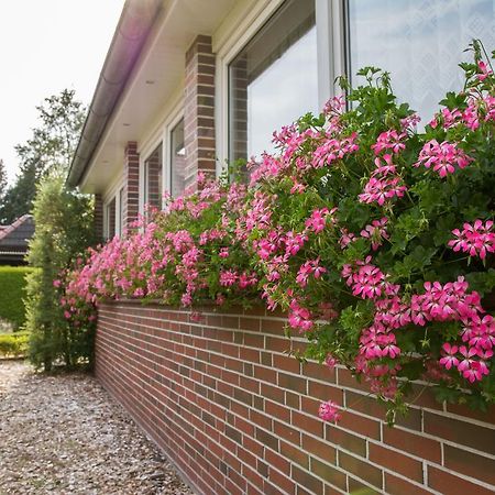 Pension Murra Stedesdorf Exteriér fotografie